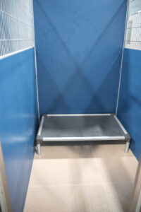 Standard_Suite