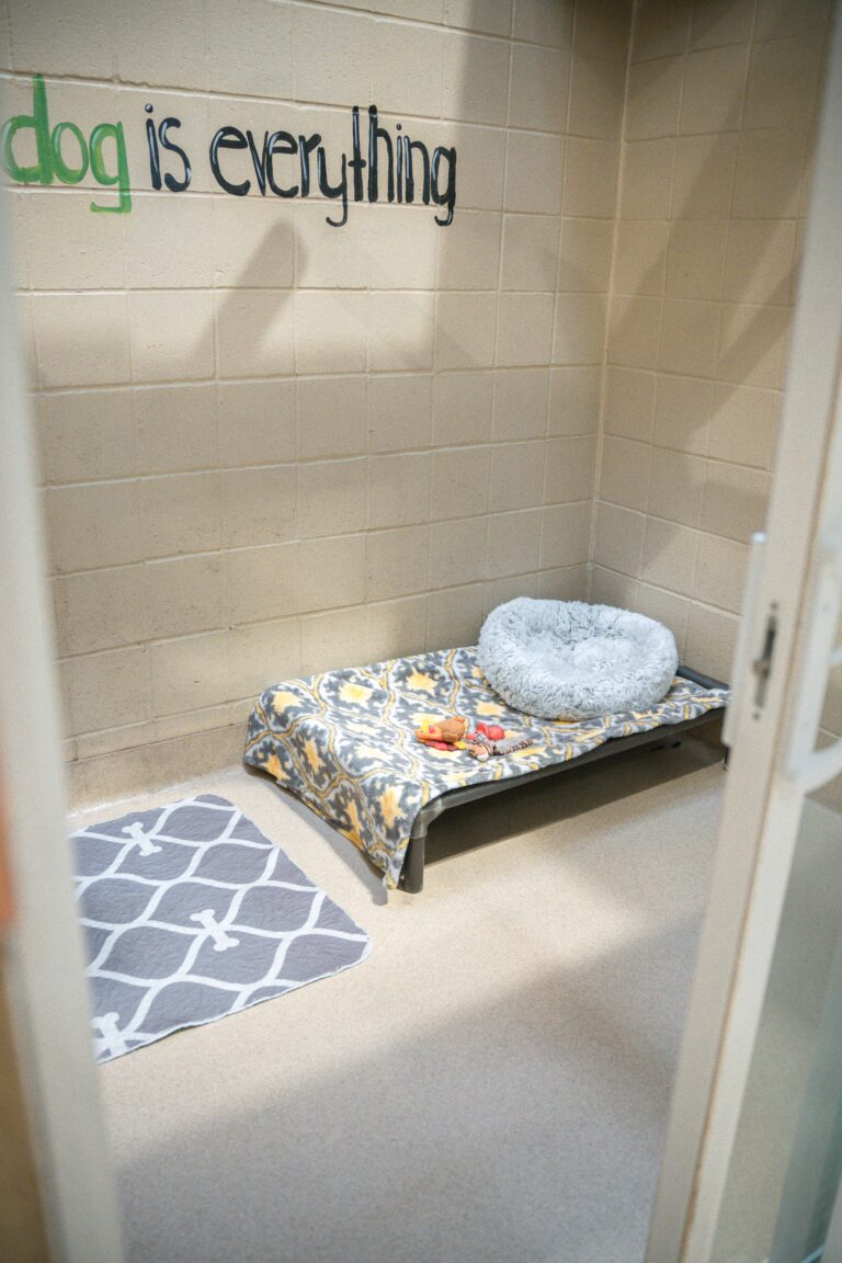 luxury_suite